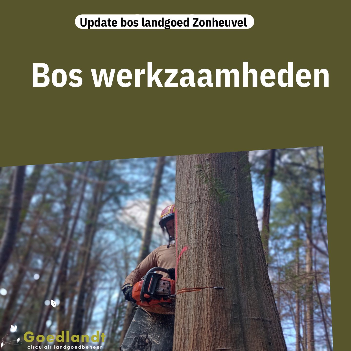 Bos werkzaamheden